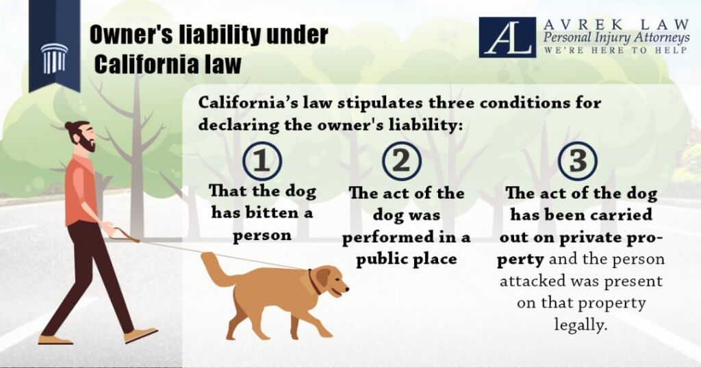owner's liability under california law