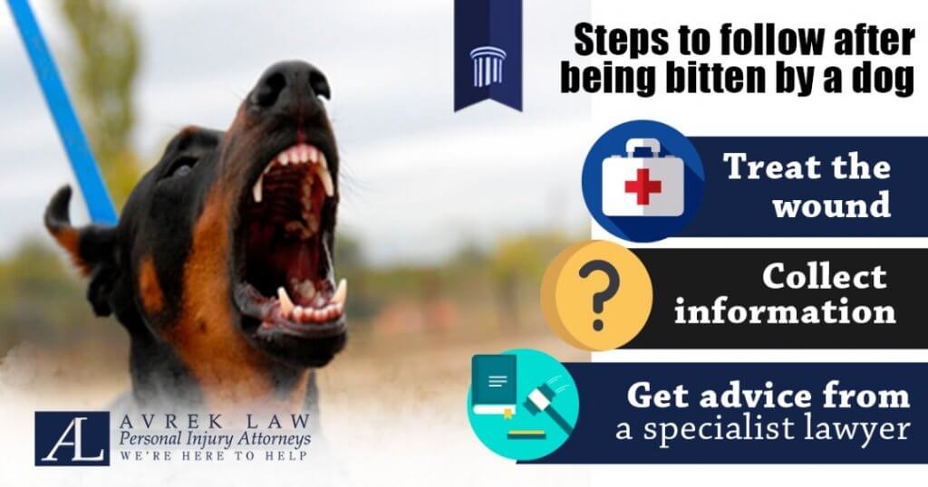 Featured image for 3 steps to follow after being bitten by a dog in California