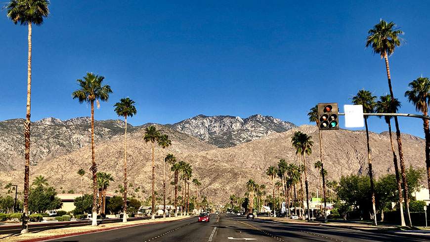 Highway with palm trees on either side, an area where many Palm Springs traffic accidents occur