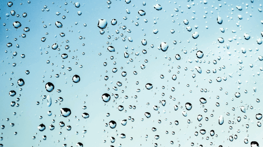 rain