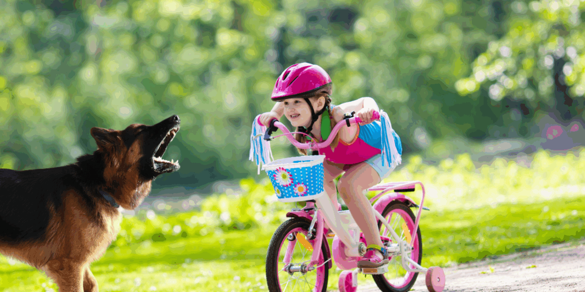 cyclists-and-dog-attacks