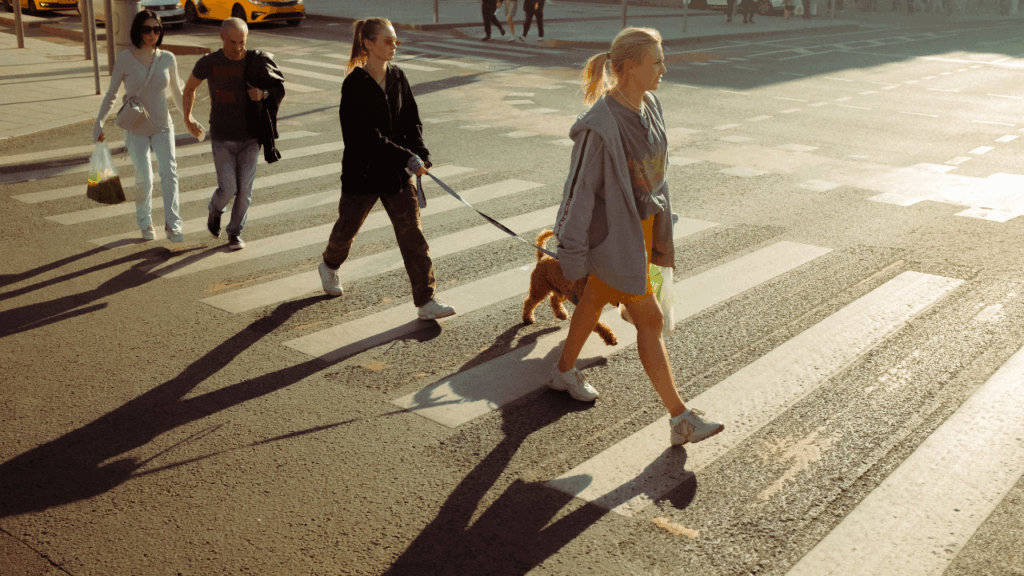 pedestrian-accident-representation