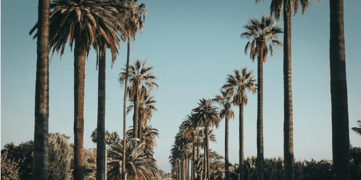 Navigating Insurance Tactics: Why a Newport Beach Car Accident Lawyer Is Your Best Defense